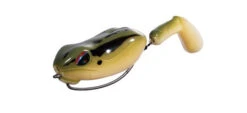 Drippy Frog -The Fiy Fishers Fly Shop DP02