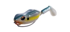 Drippy Frog -The Fiy Fishers Fly Shop DP04