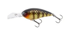 Jackall Digle 2 Plus -The Fiy Fishers Fly Shop Digle Champagne Gold 1