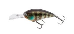 Jackall Digle 3 Plus -The Fiy Fishers Fly Shop Digle Jakko Gill 1
