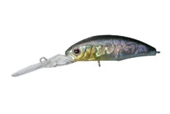 Dunk 48SP -The Fiy Fishers Fly Shop DunkH09IceShad