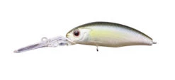 Dunk 48SP -The Fiy Fishers Fly Shop Dunk Tasty Shad