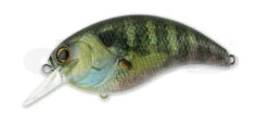 Evoke 4.0 -The Fiy Fishers Fly Shop Evoke Real Bluegill