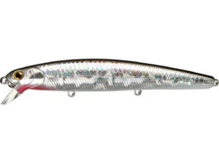 Lucky Craft Flash Minnow 110SP -The Fiy Fishers Fly Shop FPMSAnchovy