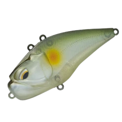 Giganoto -The Fiy Fishers Fly Shop GIGANOTO5