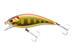 Timon Tricoroll Mai -The Fiy Fishers Fly Shop Gold Yamame