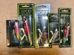 Circuit Vibe -The Fiy Fishers Fly Shop IMG 4298 66603aa9 5fb8 4566 ac7b 4a1d04518258