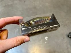 Thunderbuck Ram -The Fiy Fishers Fly Shop IMG 4344 1c546f14 6892 4880 8ca8 06c1e51c6e89