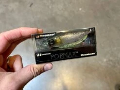 Still Area Tuned -The Fiy Fishers Fly Shop IMG 4345