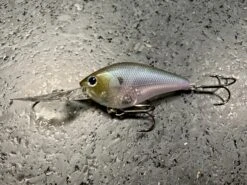 Lucky Craft LC 2.0 XD -The Fiy Fishers Fly Shop IMG 6159