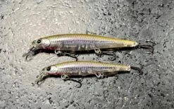 Lucky Craft Slender Pointer 82S -The Fiy Fishers Fly Shop IMG 7068