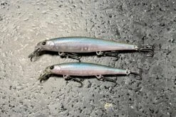 Lucky Craft Slender Pointer 82S -The Fiy Fishers Fly Shop IMG 7069