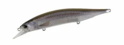 Jerkbait 85SP -The Fiy Fishers Fly Shop JB85 SP CCC3816wakasagiND