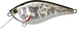 Lucky Craft KJ Flat Crankbait -The Fiy Fishers Fly Shop KJFlatBPGolden