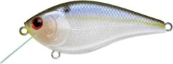 Lucky Craft KJ Flat Crankbait -The Fiy Fishers Fly Shop KJFlatPearlThreadfin