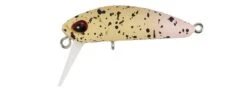 Kuga WW SS -The Fiy Fishers Fly Shop KugaM093SunsetBeige