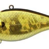 Lucky Craft LV RTO Crankbaits -The Fiy Fishers Fly Shop LV RTO Aurora Gold