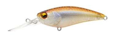 Level Shad 13 Level Shad - Image 11