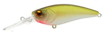 Level Shad 14 Level Shad - Image 12
