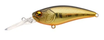 Level Shad 15 Level Shad - Image 13