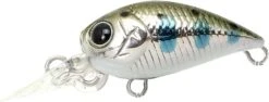 Lucky Craft Micro Cra Pea 15 Lucky Craft Micro Cra Pea -The Fiy Fishers Fly Shop MCCPDR 2H 5175 C
