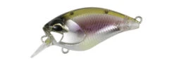 Mid Roller 40F -The Fiy Fishers Fly Shop MR KOMOCHI WAKASAGI 1