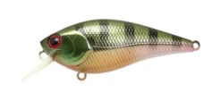 Lucky Craft LC MTS 2.2 -The Fiy Fishers Fly Shop MTS Osu Gill