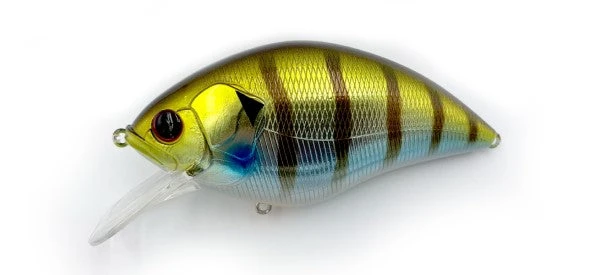 ISM Meteoros 3 ISM Meteoros