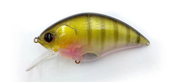 ISM Meteoros 5 ISM Meteoros - Image 3