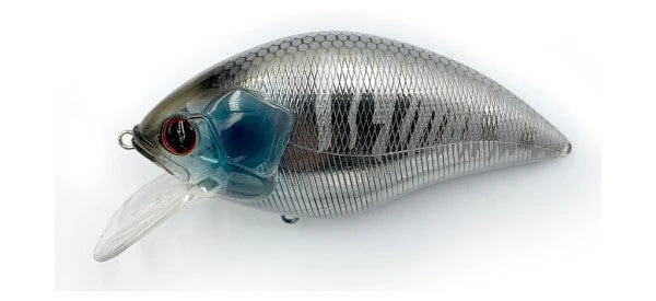 ISM Meteoros 6 ISM Meteoros - Image 4