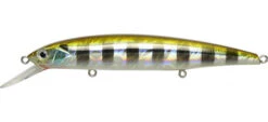 Mogul Minnow 130SP