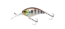 Jackall Mushbob 50MR 24 Jackall Mushbob 50MR -The Fiy Fishers Fly Shop Mushbob Urokuro Chigill