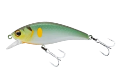 Timon Tricoroll Mai -The Fiy Fishers Fly Shop NawabariPearlAyu