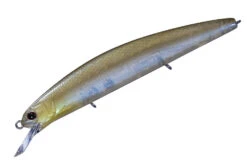 Varuna Spec 2 29 Varuna Spec 2 -The Fiy Fishers Fly Shop Numeri Shad