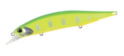 Jerkbait 120SP Pike Limited -The Fiy Fishers Fly Shop Pike Full Chart