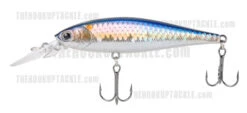 Lucky Craft Pointer 100DD -The Fiy Fishers Fly Shop PointerDDMSAmericanShad600 4