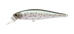 Lucky Craft Pointer 100SP -The Fiy Fishers Fly Shop Pointer 100 Black Crappie