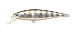 Lucky Craft Pointer 100SP -The Fiy Fishers Fly Shop Pointer 100 Bluegill