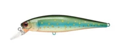 Lucky Craft Pointer 100SP -The Fiy Fishers Fly Shop Pointer 100 Brook Trout