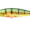 Lucky Craft Pointer 100SP -The Fiy Fishers Fly Shop Pointer AGO Northern perch