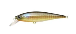 Lucky Craft Pointer 100SP -The Fiy Fishers Fly Shop Pointer BE gill