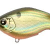 Chippawa RB Silent -The Fiy Fishers Fly Shop RB Black Gold