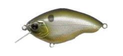 Chippawa RB Silent -The Fiy Fishers Fly Shop RB Hologram Shad