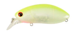 Ima Rattling Roumba -The Fiy Fishers Fly Shop Rattling Roumba Sour Candy