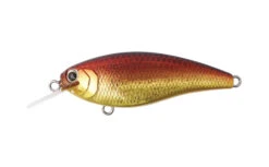 Reazzy -The Fiy Fishers Fly Shop Reazzy007