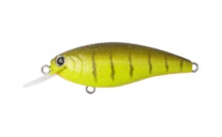 Reazzy -The Fiy Fishers Fly Shop Reazzyoo5