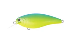 Reazzy -The Fiy Fishers Fly Shop Reqzzy004