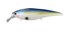 ISM Risen 110F -The Fiy Fishers Fly Shop Risen 110F Sexy Shad