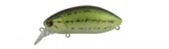 Ima Roumba -The Fiy Fishers Fly Shop RoumaBabyBass