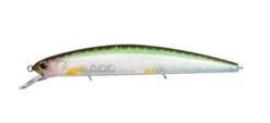 Rudra 130SP -The Fiy Fishers Fly Shop Rudra GHost HF KEtabass